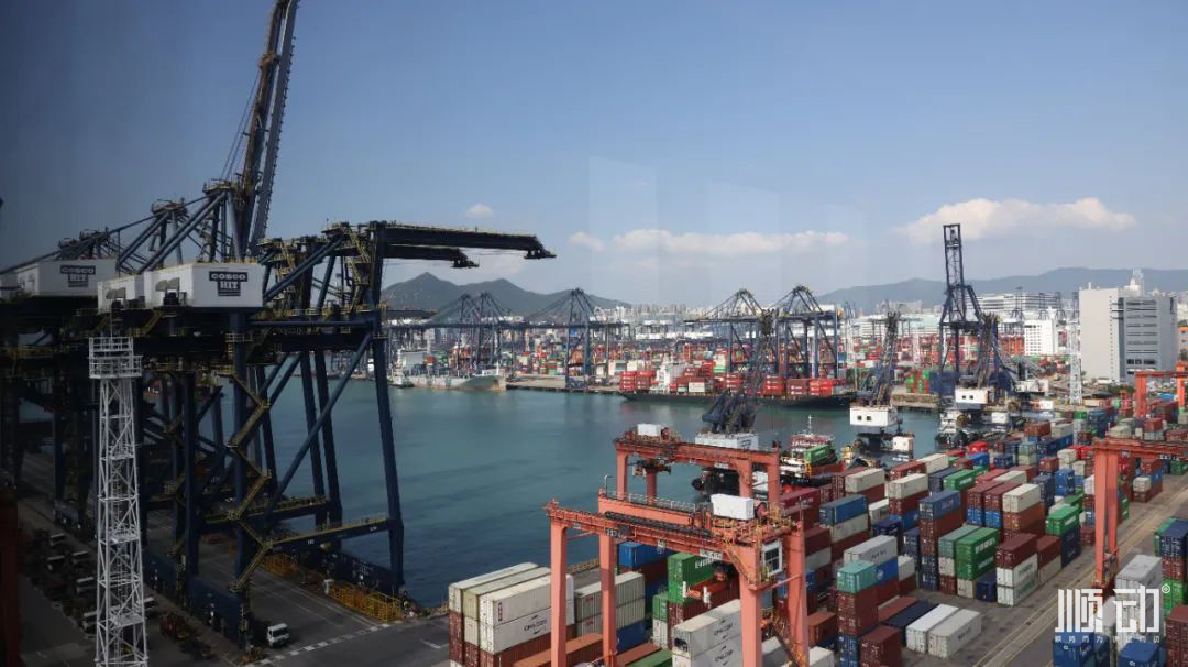 順動香港拍攝vlog，體驗感滿滿~